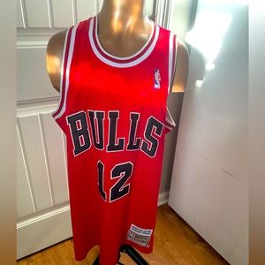 Chicago Bulls Jersey Michael Jordan #12